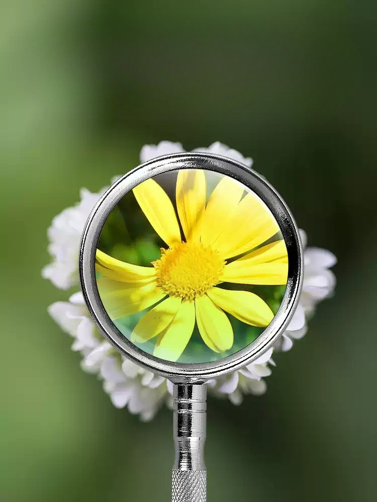 10X 20X Handheld Magnifying Gl - Hobby Is Science review and price
