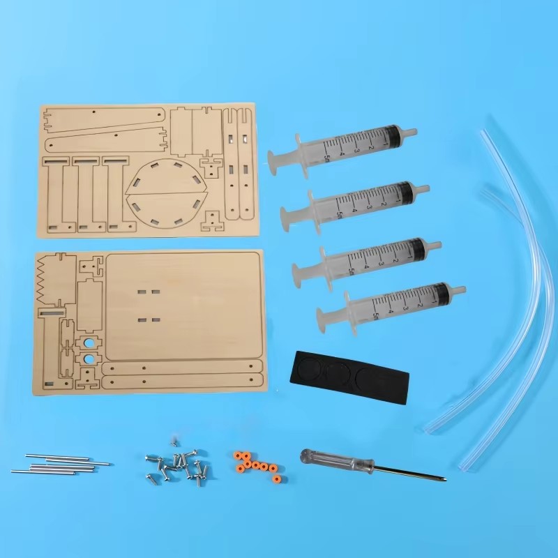 Fun STEM DIY Science Kit Woode - Hobby Is Science review and price