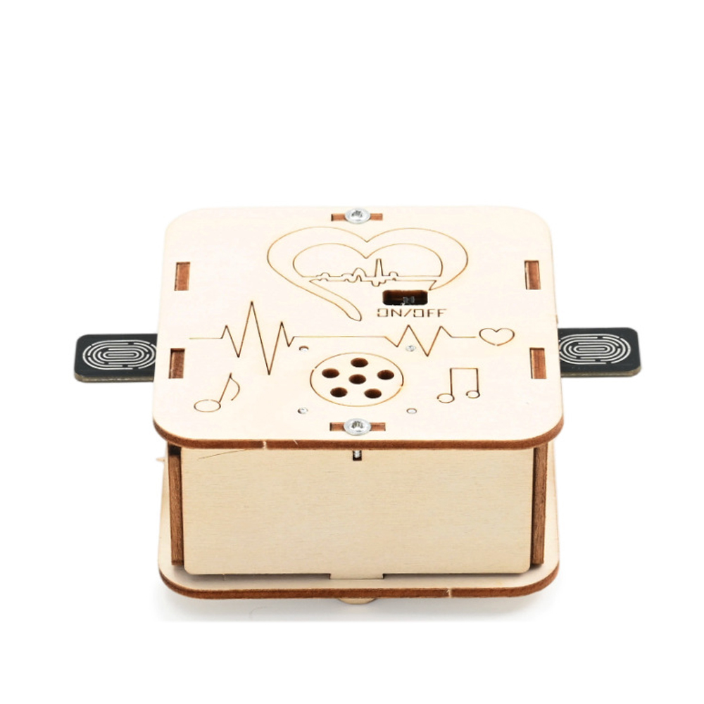 DIY Human Body Induction Rhyth - Science And Invention review and price