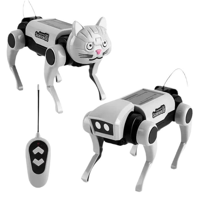 Remote Control Diy Assembly Wa - Is Learning Science A Hobby review and price