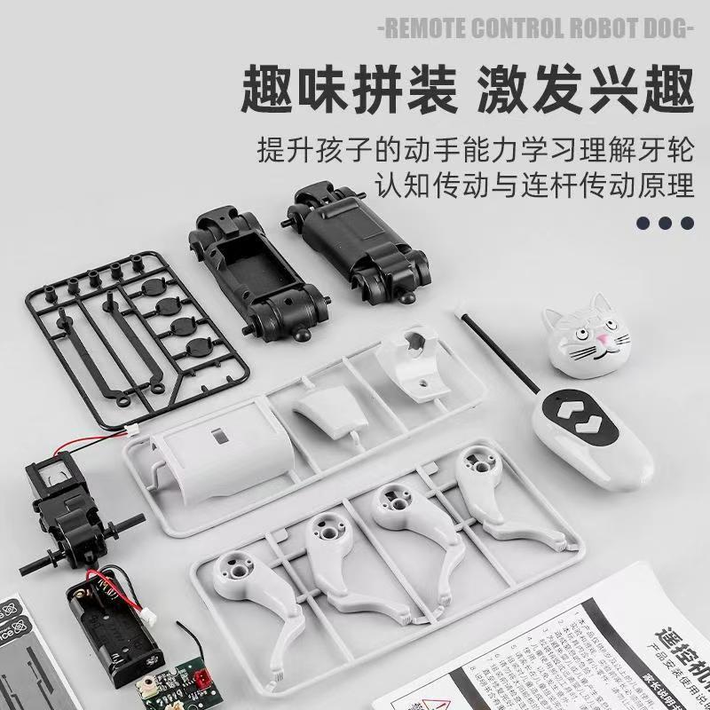 Remote Control Diy Assembly Wa - Is Learning Science A Hobby review and price