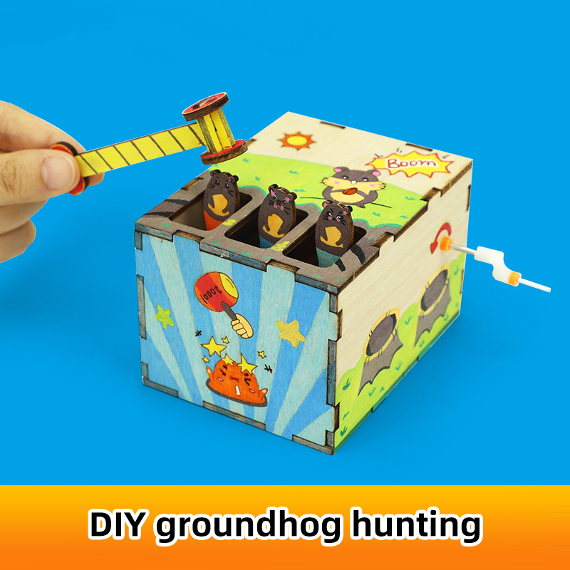 DIY Mouse Game Science and Tec - Science And Invention review and price